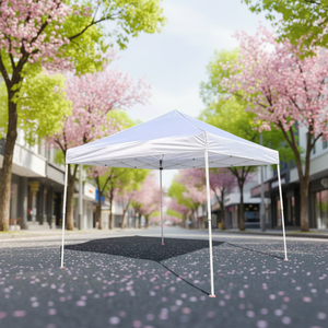 Tente <span class=keywords><strong>de</strong></span> jardin <span class=keywords><strong>de</strong></span> grande taille, couleur blanche, OEM ODM, fabrication directe, personnalisable - Product Image 4