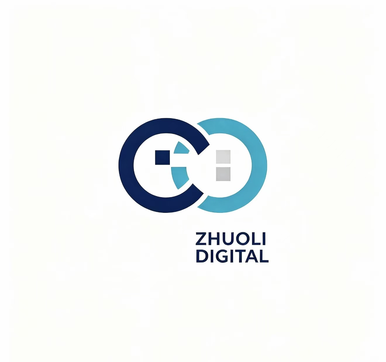 Dongguan Zhuoli Digital Co., Ltd. logo