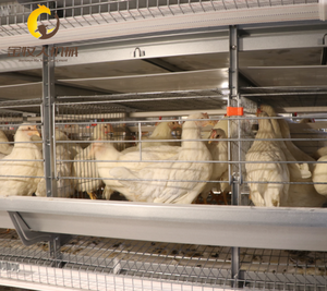 Jinmuren Nouvelle Cage Automatique pour Animaux, <span class=keywords><strong>Poulailler</strong></span> pour Usage Agricole, Construction en Acier Galvanisé de Haute Qualité, Facile à Nettoyer - Product Image 4