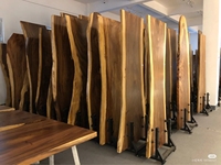 Spot de table en bois de noyer brut naturel, 20 pièces, pour table à manger, vente en gros, chine