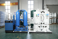 Générateur d'oxygène PSA contrôlé par PLC, pureté 99,5 %, usine de production d'oxygène industrielle, capacité 8 L/H, marque LMFO, prix usine