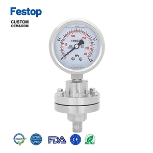 Manometro con Diaframma Filettato Facilmente Cristallizzabile, Resistente ad Alta Corrosione - Product Image 5