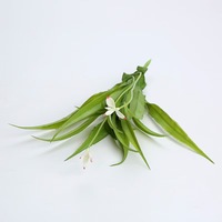 YL Fabrieksdirecte verkoop bruiloft scheidingswanden decoratieve kunstbloemen & groene planten wanddecoratie plastic Thanksgiving