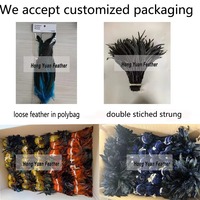 Plumes de coq de 25-30 cm pour artisanat, bricolage, costumes, accessoires de chapeau, déguisements, fêtes, carnaval, décorations de mariage