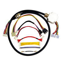 Kabel Tembaga Pengisi Daya EV DC ke DC dan Kabel Harness Profesional dengan Tutup Pelindung untuk Aplikasi Konverter dan Peralatan
