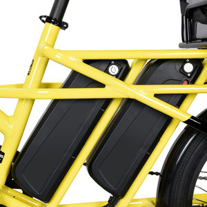 Vélo cargo électrique pour adultes <span class=keywords><strong>Accolmile</strong></span> OEM 250/500W, double batterie au lithium, cadre en alliage d'aluminium, frein à disque, vélo électrique de livraison - Product Image 3