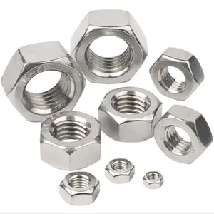 DIN934 Stainless Steel A2 A4 SS304 SS316 Hex Nut M6 M8 M10 M12 M16 M20