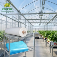 Serres agricoles modernes de qualité supérieure à double couche en film PO/PE, protection toutes saisons, pour fermes scientifiques