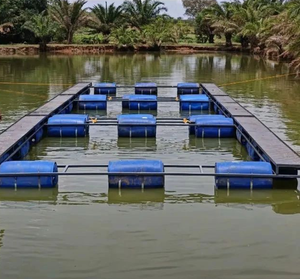 Chất lượng cao HDPE cá rô phi lồng nổi nuôi trồng thủy sản thiết bị nông nghiệp với nuôi trồng thủy sản bẫy trực tiếp từ Trung Quốc - Product Image 1