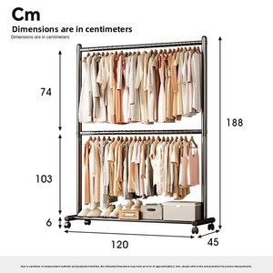 Appendiabiti Moderno a Doppio Strato in Metallo, Stendibiancheria e Portascarpe per Soggiorno e Camera da Letto - Product Image 6