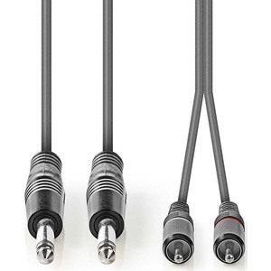 Câble audio stéréo 2x 6,35 mm mâle vers 2x RCA mâle 5 m - Product Image 2