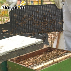 Marcos de Apicultura Nuevos al por Mayor con Base de Plástico para Abejas - Product Image 6