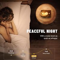 Diffuseur d'huiles essentielles électrique sans eau, rechargeable par USB, en bois et verre, portable, pour l'extérieur, aromathérapie, 20 ml, 2000 mAh