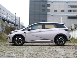 Meilleur Prix 2026 BYD Dolphin 420km Voiture Électrique Intelligente Compacte pour Taxi et Utilisation en Flotte - Product Image 3
