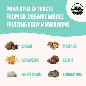 OEM 100% bubuk ekstrak Jamur ORGANIK MURNI Usda surai singa organik, Reishi,<span class=keywords><strong>Cordyceps</strong></span>,Chaga, ekor Turki, Maitake nyata Fruitin - Product Image 5