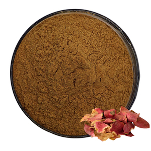 Rifornimento di fabbrica estratto vegetale di buccia di melograno estratto in polvere naturale Punicalagin 40% - Product Image 1