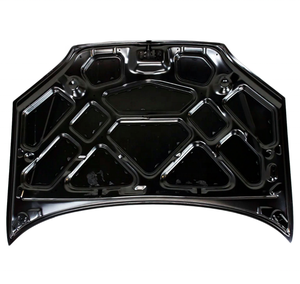 Phụ tùng thân xe OEM 4S4Z16612AB, tấm ốp capo trước cho <span class=keywords><strong>Ford</strong></span> <span class=keywords><strong>Focus</strong></span> 2005 2006 2007 - Product Image 2