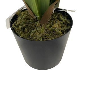 Dracaena Fragrans Bonsái Artificial Tropical con Certificación UV para Interiores/Exteriores, Decoración de Oficina en Maceta, por Proveedor de Fábrica - Product Image 5