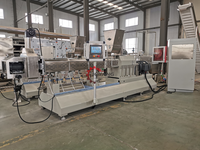 Ligne de production de riz artificiel à extrudeuse bivis, nouvelle machine de fabrication de grains de riz enrichis 200-500 kg/h