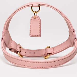 Arnés de cuero clásico para perros con hebilla dorada Etiqueta de nombre Fuerte tensión Fácil de usar para perros grandes, medianos y pequeños - Product Image 1