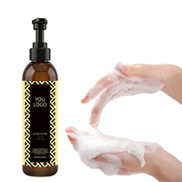 Savon liquide nettoyant pour les mains OEM ODM 300ml, nettoyage des mains à domicile, fabricant de marque privée sur mesure