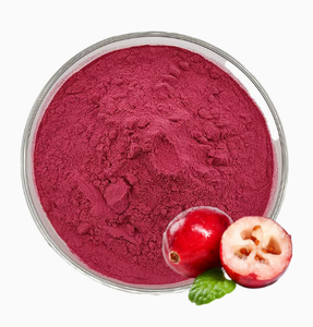 Poudre d'extrait <span class=keywords><strong>de</strong></span> canneberge <span class=keywords><strong>de</strong></span> qualité alimentaire, riche en proanthocyanidines, soutien antioxydant, complément alimentaire pour la santé des femmes - Product Image 2