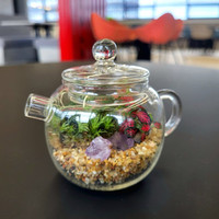 Jardinière de terrarium en verre transparent de forme moderne théière adaptée aux bonsaïs couverture de dôme en verre coloré décor à la maison pour jardin succulent