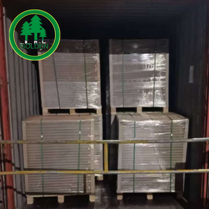 Coated or Uncoated White Top Test Liner High Quality White Top Kraft Liner Board WTL for Printing and Packaging - Product Image 3