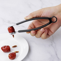 Handmatige, roestvrijstalen fruitpitter, knijpmodel, roestbestendig, voor kersen, olijven, jujubes, handzaam keukengereedschap