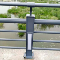 Barrière de pont lumineuse à LED en acier inoxydable 201/304, éclairage décoratif pour bord de mer
