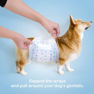Disposable <b>Cheap</b> Price Wrap Female and Male Training <b>Pad</b> for Cat Thickened Pet Dog Diaper Pant in Bulk - Product Image 1