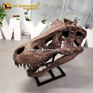 T-Rexヘッド化石My Dino人工グラスファイバーライフサイズ - Product Image 2