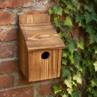 Nichoir mural en bois carbonisé écologique de différentes couleurs, résistant aux intempéries, pour oiseaux d'extérieur - Vente en gros