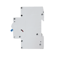 Interrupteur principal Double pôle 100 A Monophasé Triphasé IC65 MCB Disjoncteur G1 G2 G3 G4 disjoncteur 16A 32A 63A 100A