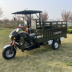 Triciclo de servicio pesado de 250cc con <span class=keywords><strong>3</strong></span> ruedas, cuerpo abierto, eléctrico, motorizado, de pasajeros y carga, gran oferta en China - Product Image 4