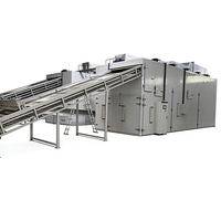 Automatische banddroogmachine, chilidroogmachine voor fruit en groenten, ui-dehydratatielijn