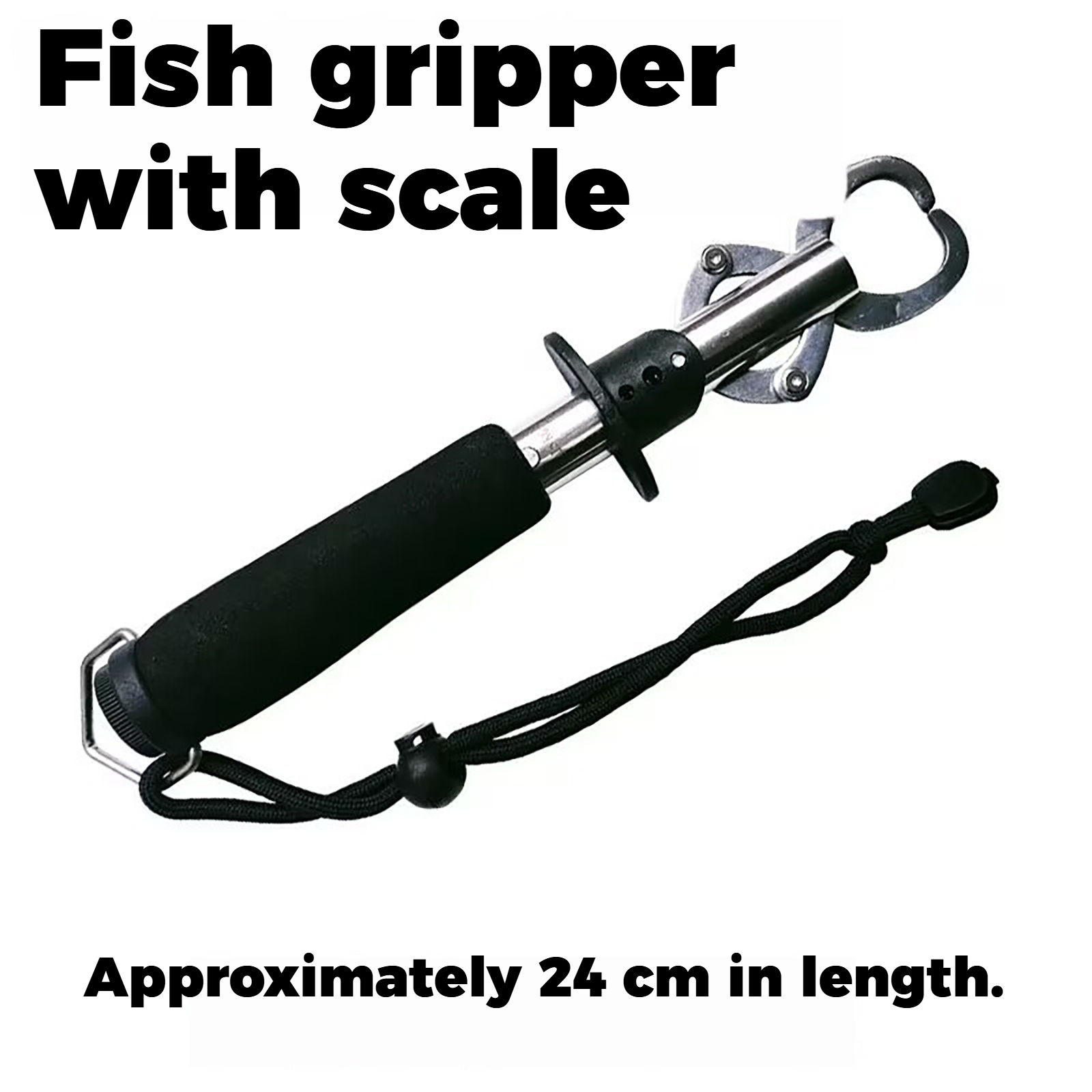 4#Contrôleur Black Fish avec balance intégrée, mais sans règle.