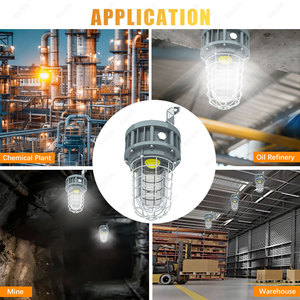 Lámpara LED a Prueba de Explosiones para Áreas Peligrosas Atex Zona 1 Zona 2 de 20W, STOCK en EE. UU. - Product Image 6