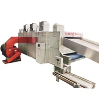 Automatische droogmachine voor gedroogd fruit met gaasband, 10 ton, geschikt voor dadelpalmen, groene pruimen, loganfruit, met warmtepomp.