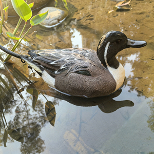 Décoy de canard réaliste en EVA léger à texture de plumes pour chasseurs en plein air - Product Image 4