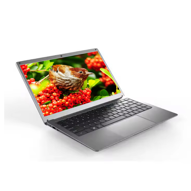 Factory Hot Sell 14inch Cheap N4000 RAM 6G 128 256 512GB 1TB Laptop Computer Support Windows 10 for Business