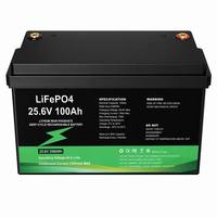 Baterai LiFePO4 25.6V 100Ah 2560Wh 6000-Cycle Deep Cycle Isi Ulang dengan BMS Terintegrasi IP67 Bluetooth untuk Solar RV Marine UPS Off-Grid
