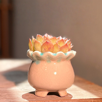 Maceta de Cerámica Terracota para Suculentas, con Orificio de Drenaje, Acabado Glaseado, Ecológica, Duradera, Transpirable, para Hogar y Jardín