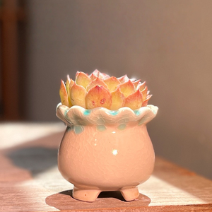 Terracotta <b>Ceramic</b> <b>Pot</b> Succulent Planter Drainage Hole Glazed Finish Eco-Friendly Durable Breathable Water Home Garden - Product Image 5