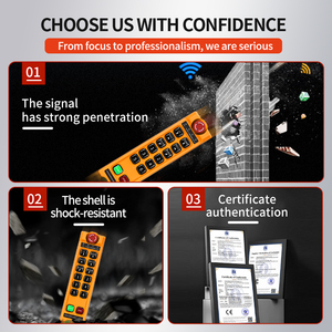 LD-BC12+ Factory Direct Single Speed Crane <strong>System</strong> <strong>Intelligent</strong> Wireless Remote <strong>Control</strong> <strong>Switch</strong> Industrial Waterproof - Product Image 4