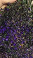 Guirlande de plantes artificielles suspendues à 5 têtes de 80 cm, décoration de jardin enchantée