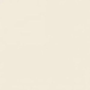 Azulejo de porcelana de sal Soluble de marfil Beige liso nano pulido de alta calidad 60x60cm precio de exportación para azulejos de 600x600mm - Product Image 1