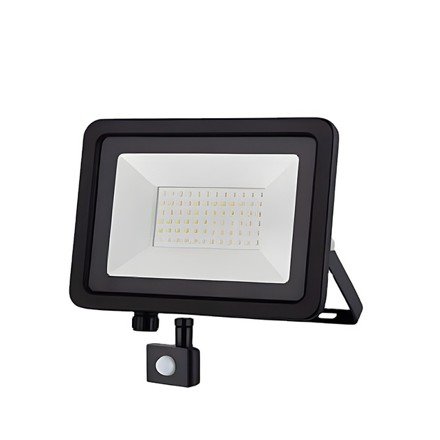 High Output Waterproof Projector Lamp Remote Control RGB IR Sensor 10w 20w 30w 50w 70w 100w Portable Led Flood Light
