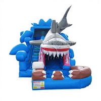 Winsun Blue Shark Toboggan Aquatique Gonflable à Une Voie Château Gonflable Matériau PVC Ignifuge Étanche Installation Facile Certifié CE