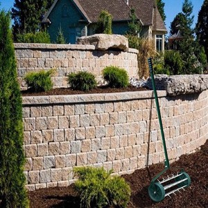 Aérateur rotatif de <span class=keywords><strong>pelouse</strong></span> de sol de pointe de dent de poussée de roulement avec l'outil de poignée <span class=keywords><strong>en</strong></span> acier pour l'<span class=keywords><strong>entretien</strong></span> d'herbe de cour de jardin vert - Product Image 6